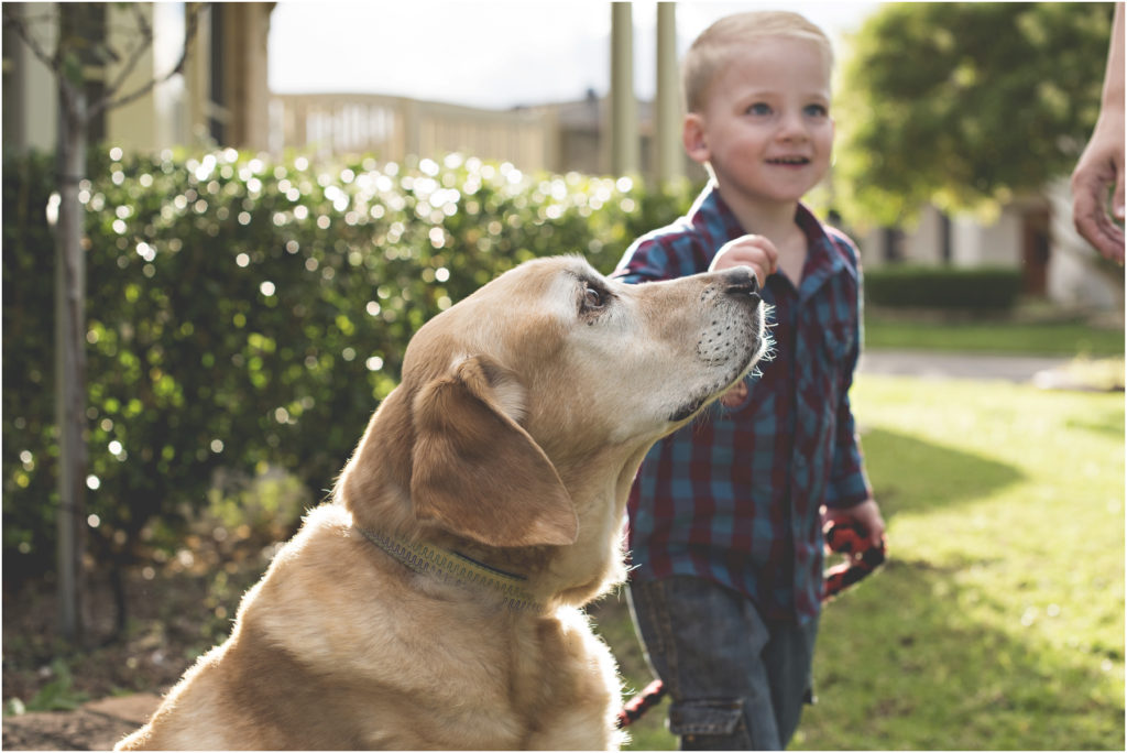 Camden Family Photography, Angie Duncan Photography, www.angieduncan.com.au